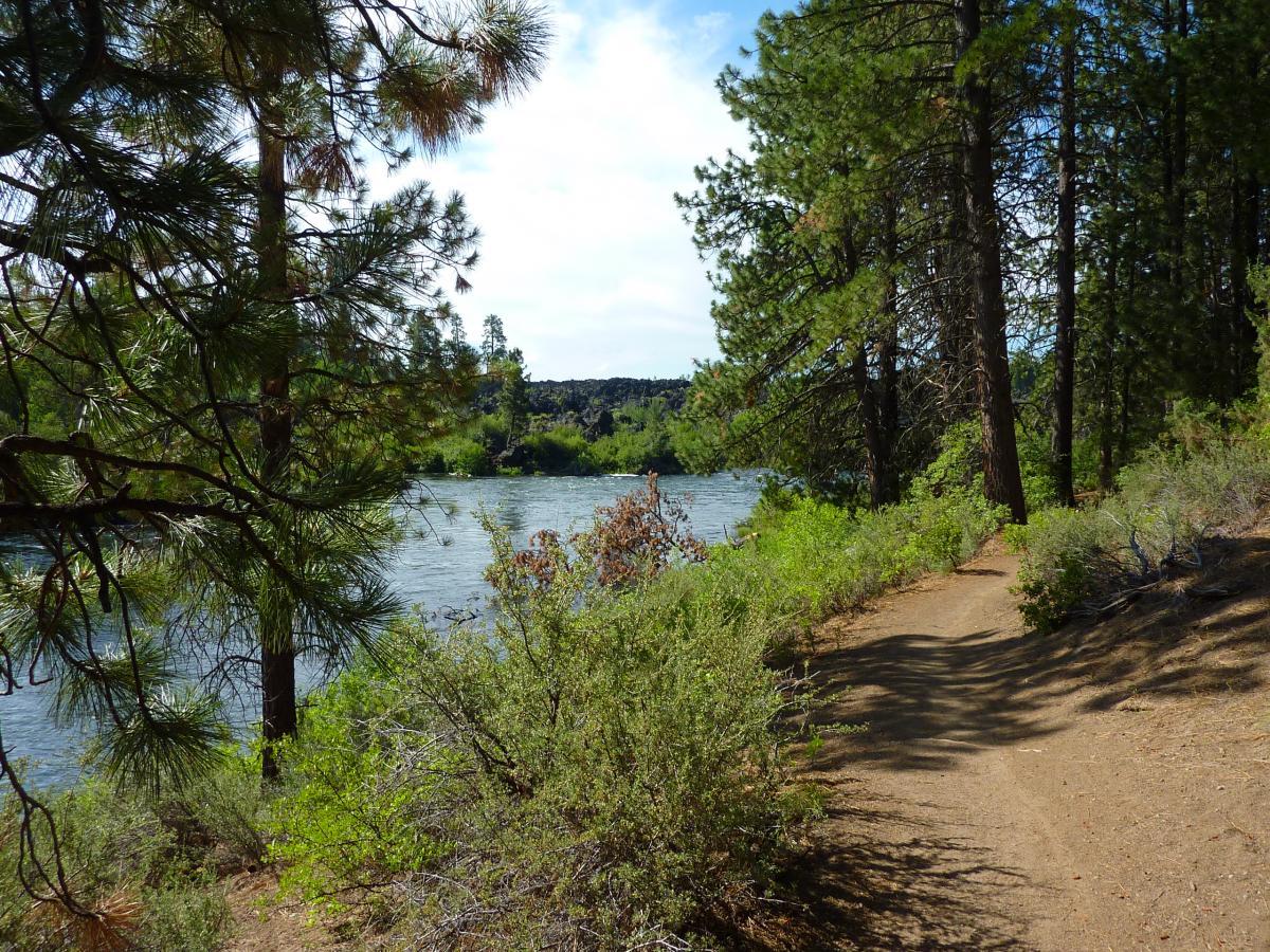 A scenic view along a river surrounded by lush green trees and shrubs, with a dirt path winding beside the water under a partly cloudy sky. Deschutes River mountain bike trail.