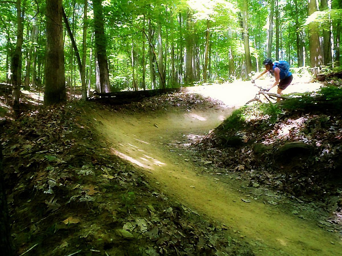 A mountain biker navigating a dirt trail in a lush green forest, surrounded by tall trees and fallen leaves on the ground. The biker is leaning into a turn, wearing a helmet and a blue backpack, emphasizing an active outdoor lifestyle. Brown County Park mountain bike trail.