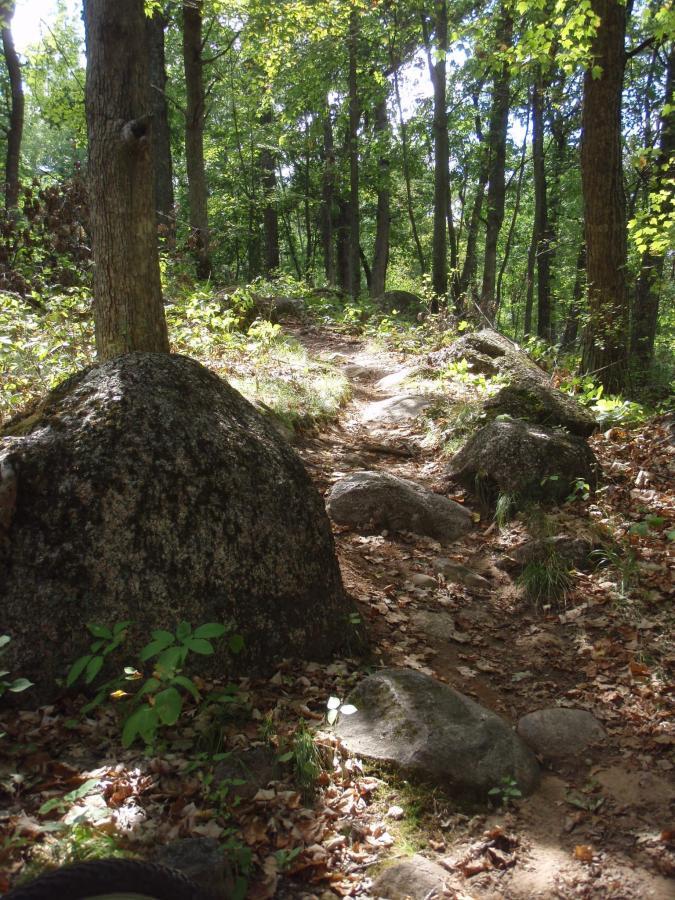 A winding dirt path through a sunlit forest, surrounded by large rocks and scattered leaves, with tall trees and lush greenery on either side. Standing Rocks mountain bike trail.