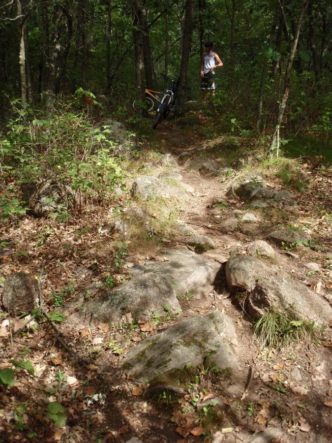 A rocky mountain bike trail winding through a wooded area, with a cyclist standing next to their bike in the background. The scene is surrounded by green foliage and scattered leaves on the ground. Standing Rocks mountain bike trail.