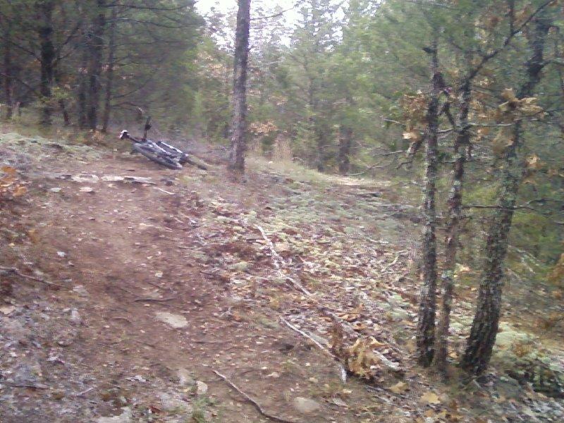 A dirt trail winding through a dense forest of trees, with a mountain bike lying on its side near the path. The scene is shaded and has scattered leaves and rocks along the trail. Forest City Trail mountain bike trail.