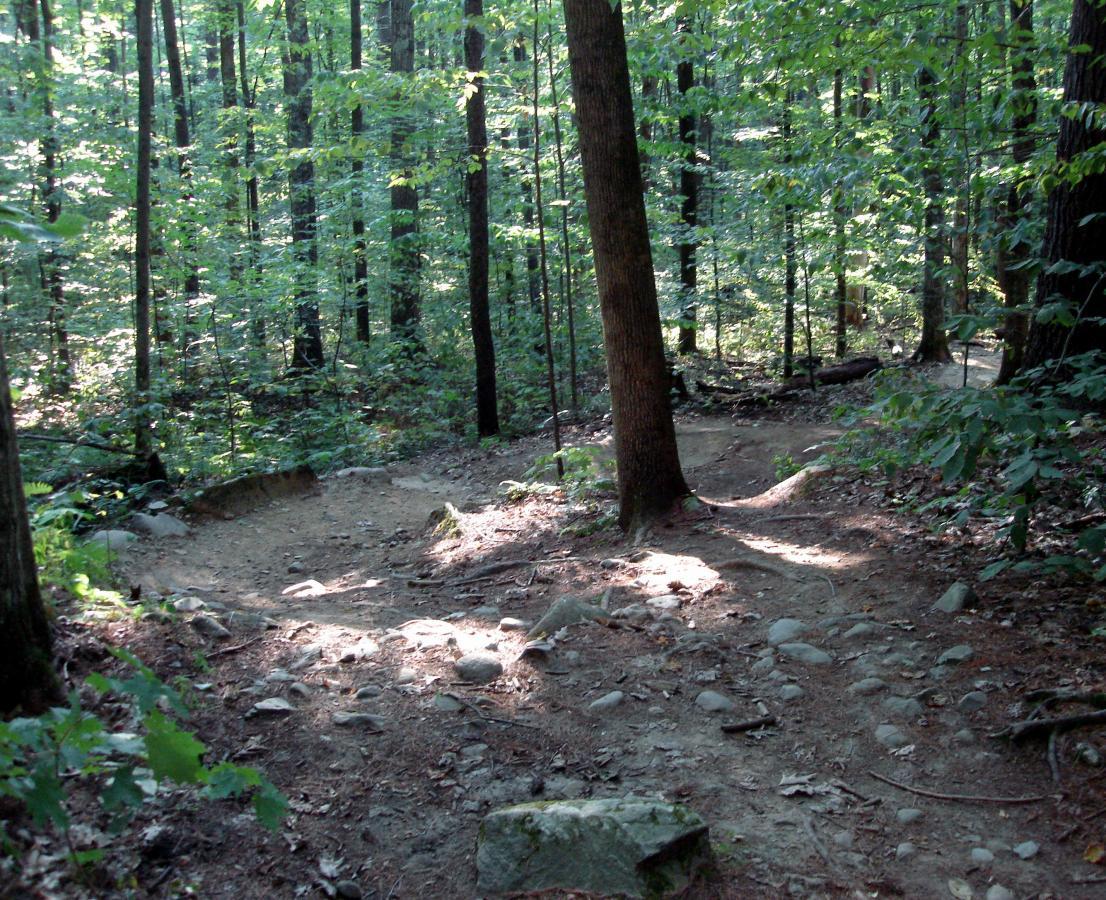 A winding dirt trail surrounded by lush green trees in a dense forest, with patches of sunlight filtering through the foliage. Rocky sections and tree roots are visible along the path. Saxon Hill mountain bike trail.