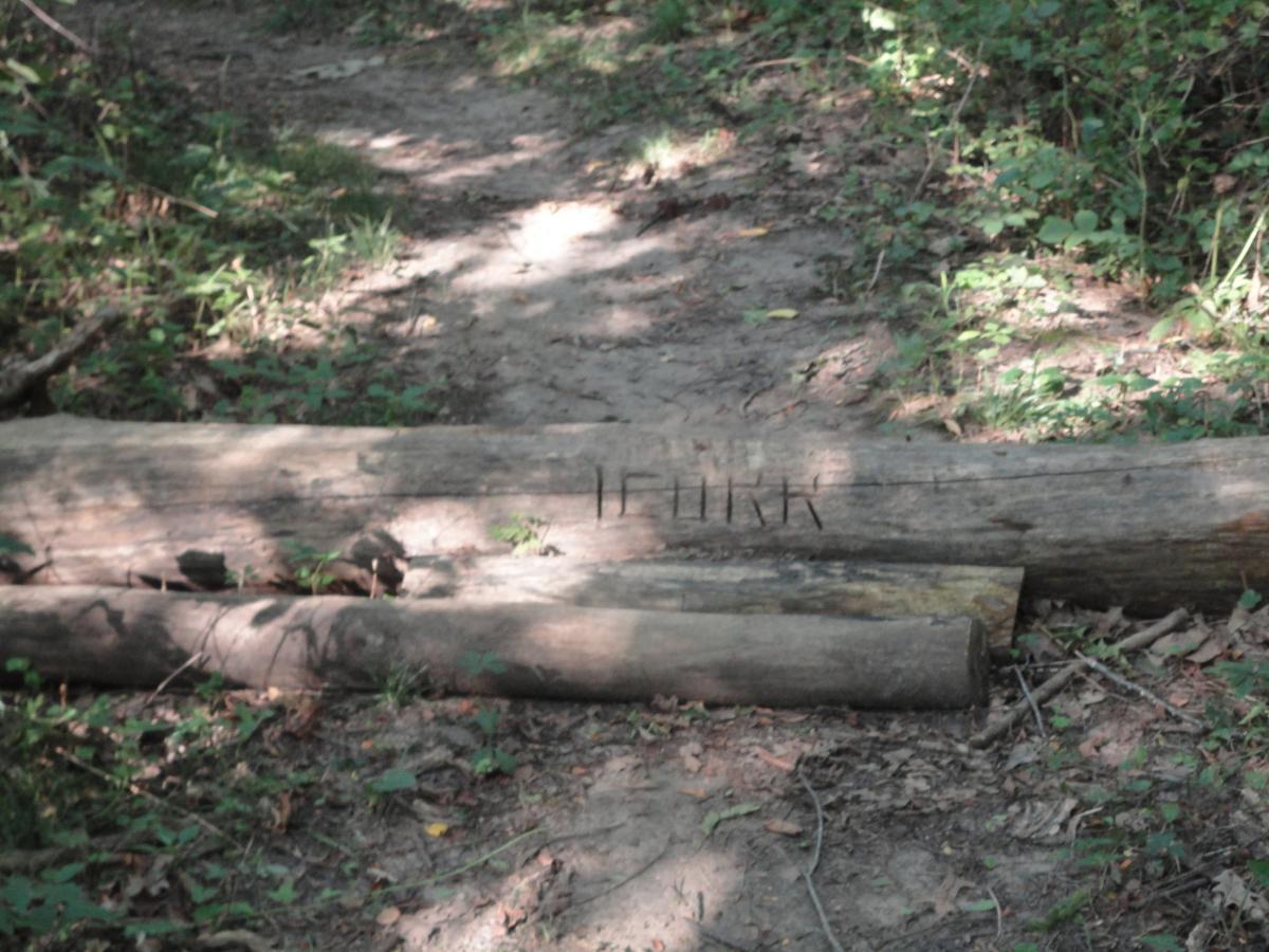A dirt path through a wooded area, featuring a fallen log with carvings, partially covered by foliage and underbrush. Sugar Bottom mountain bike trail.