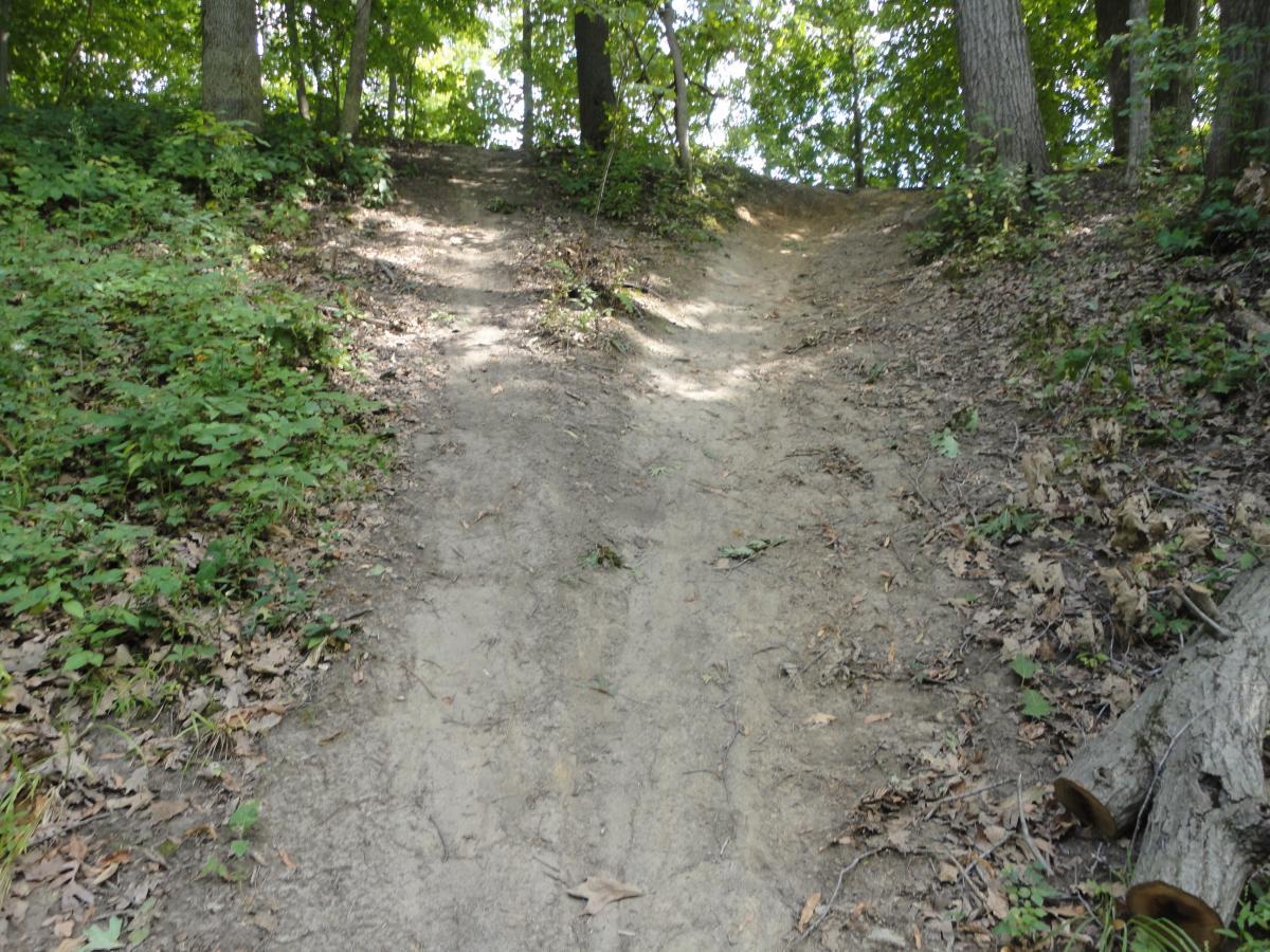 A dirt path leading up a slope, surrounded by green foliage and trees, with patches of sunlight filtering through the leaves above. The ground is uneven and slightly worn, indicating frequent use. Sugar Bottom mountain bike trail.