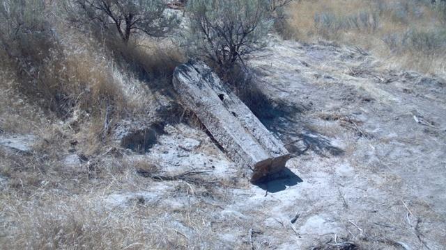 A weathered wooden log resting on dry earth, surrounded by sparse shrubs and grass. The landscape is arid, with a mixture of sand and dirt visible. Ada/Eagle Bike Park mountain bike trail.