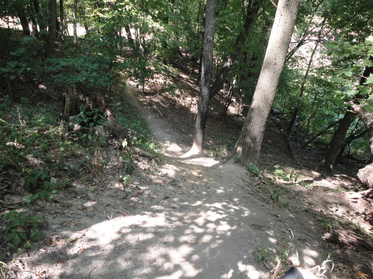 A winding dirt path leads through a lush, green forest, surrounded by trees and vegetation. Sunlight filters through the leaves, casting dappled shadows on the trail. A tree stump and some underbrush are visible on the left side of the image, adding to the natural scenery. Thomas Park mountain bike trail.