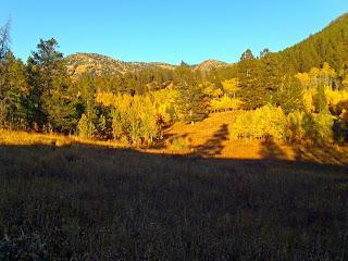 A serene landscape depicting a meadow surrounded by tall trees in autumn. The scene features vibrant golden and orange foliage under a clear blue sky, with distant mountains visible in the background. Long shadows stretch across the grassy area, creating a peaceful atmosphere. Cache Creek - Game Creek Loop mountain bike trail.