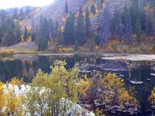 A serene landscape featuring a calm body of water surrounded by trees and colorful autumn foliage. The reflection of the trees and hills can be seen in the water, creating a tranquil atmosphere. The scene captures the beauty of nature in the fall season. Cache Creek - Game Creek Loop mountain bike trail.