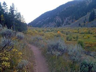A winding dirt trail leads through a vibrant landscape of grasses and shrubs, with distant mountains rising in the background. The scene is set in a serene, natural environment, showcasing a mix of green and gold foliage typical of autumn. Cache Creek - Game Creek Loop mountain bike trail.