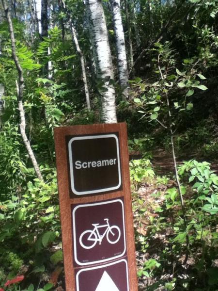 A wooden trail sign in a forested area labeled "Screamer," with an icon of a bicycle and an arrow pointing downward, indicating a biking path. Surrounding greenery includes trees and shrubs, creating a natural outdoor setting. Cuyuna Lakes mountain bike trail.