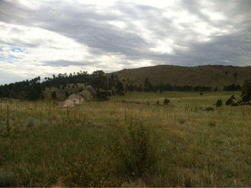 A wide, open landscape featuring rolling hills and scattered trees under a cloudy sky. In the foreground, tall grass and low shrubs fill the scene, while a large rock formation is positioned slightly off-center. The distant hills rise gently, creating a tranquil natural setting. Bobcat Ridge mountain bike trail.