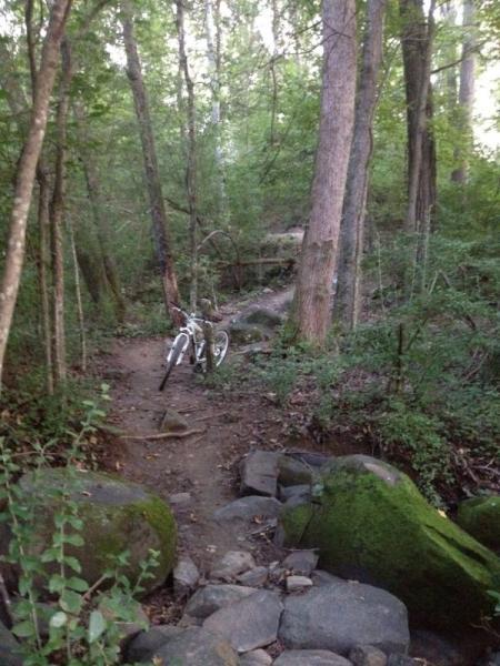 A serene forest trail featuring a dirt path surrounded by lush greenery and tall trees. A white mountain bike is parked on the path, with scattered rocks and a small stream visible nearby, creating a peaceful outdoor scene. USNWC mountain bike trail.