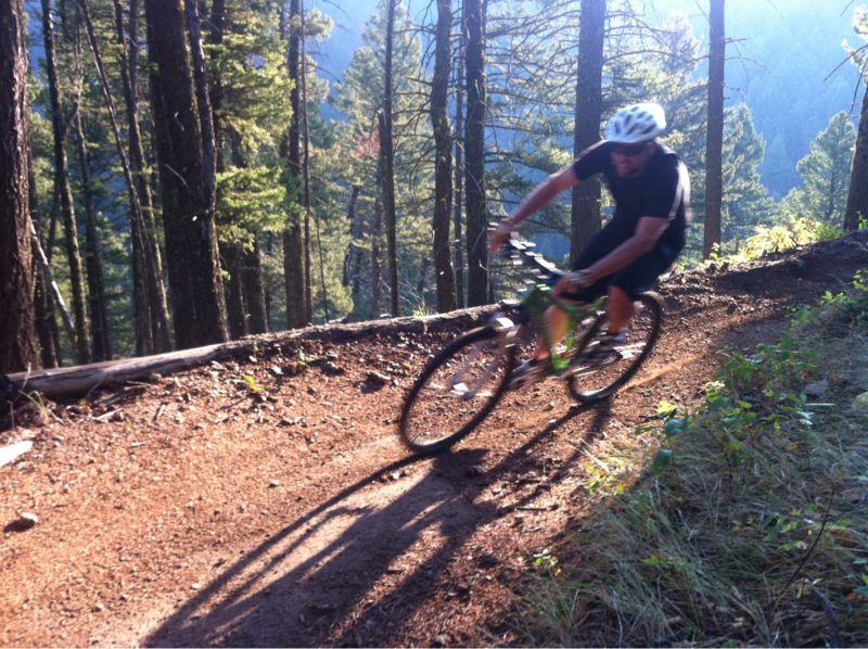 A mountain biker navigating a dirt trail through a forest, with tall trees in the background and sunlight filtering through the branches. The cyclist is in motion, leaning into a curve on the path. Leverich Trail mountain bike trail.