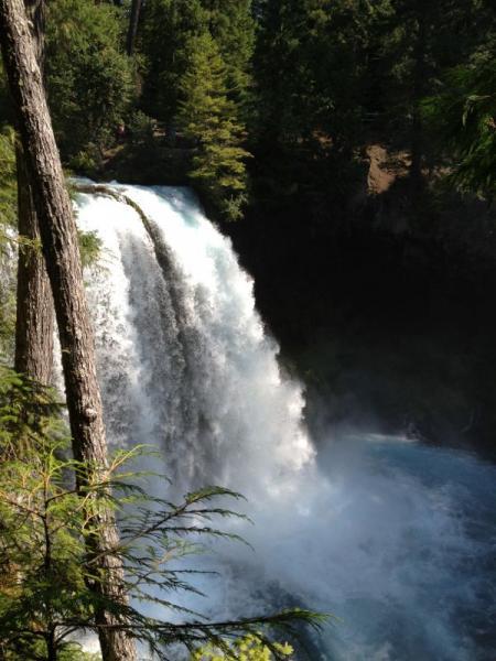 A majestic waterfall cascading over a rocky ledge, surrounded by lush greenery and tall trees. The water flows powerfully down into a clear, blue pool below, creating a misty spray. Sunlight filters through the foliage, illuminating the scene with a natural glow. Mckenzie River Trail mountain bike trail.