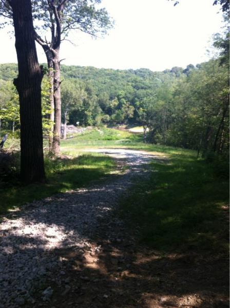 A scenic view of a gravel path winding through lush green trees and foliage, leading down a hillside toward a wooded area. Sunlight filters through the leaves, casting gentle shadows on the ground. Lehigh Memorial Park. mountain bike trail.