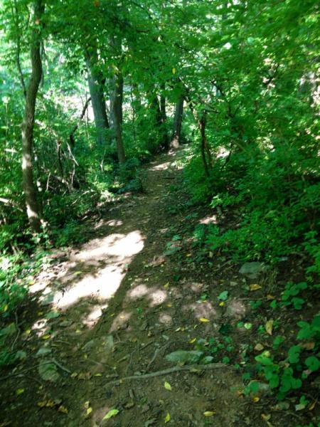 A narrow, winding dirt trail surrounded by lush green foliage and trees, leading into a wooded area. Sunlight filters through the leaves, casting dappled shadows on the ground. Jordan Creek Parkway mountain bike trail.