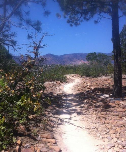A narrow dirt path winding through a rocky landscape, flanked by sparse vegetation and trees, with distant mountains visible under a clear blue sky. Ute Valley Park mountain bike trail.