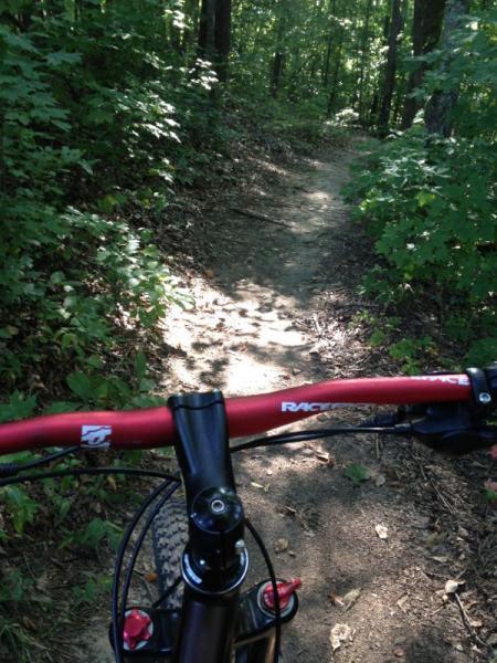 A view from the handlebars of a mountain bike on a dirt path surrounded by greenery and trees in a forested area. Rotary Park mountain bike trail.