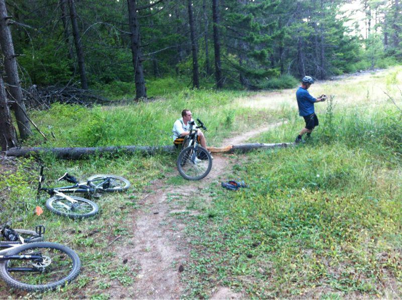 Two mountain bikers are resting on a forest trail. One is sitting on a fallen log next to his bike, while the other is standing nearby, checking something on his phone. Surrounding them is dense greenery, with tall grass and trees in the background, indicating a serene outdoor setting. Whoopdee mountain bike trail.