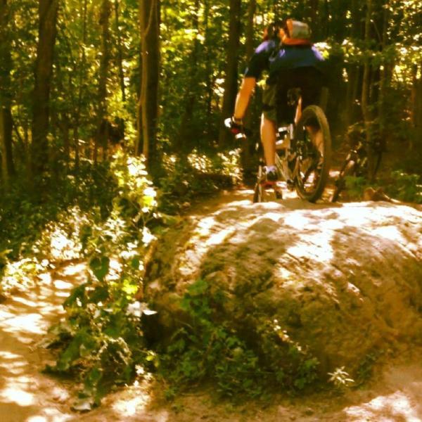 A mountain biker jumping off a rock formation on a forest trail, surrounded by lush greenery and sunlight filtering through the trees. Hydrocut mountain bike trail.