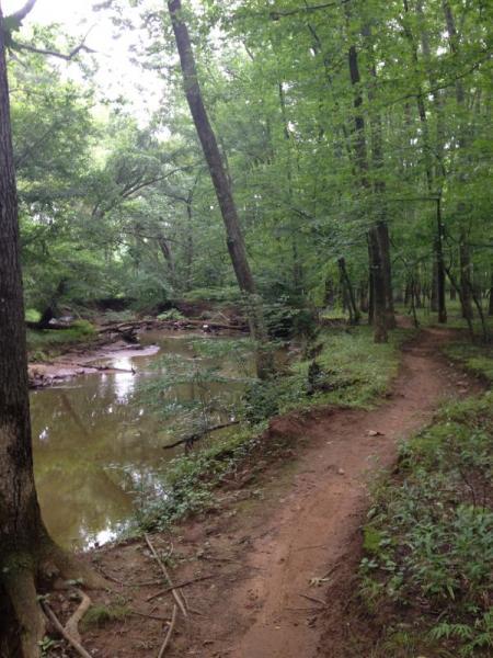 A serene forest scene featuring a winding dirt path beside a tranquil creek. The area is lush with green foliage and tall trees, creating a peaceful natural environment. Allaire State Park mountain bike trail.