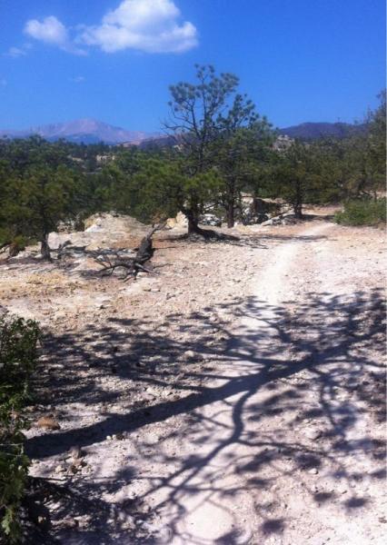 A winding dirt path through a rocky landscape, surrounded by sparse pine trees under a clear blue sky with a few fluffy clouds. The sunlight casts shadows of the trees on the ground, and distant mountains are visible in the background. Ute Valley Park mountain bike trail.