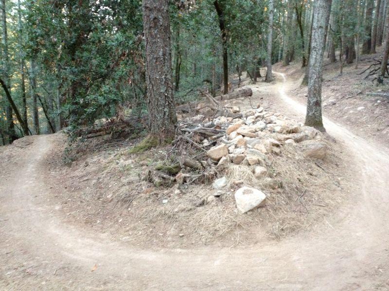 A winding dirt trail in a forest, curving around a small mound of rocks and fallen branches. Surrounding trees provide a lush, green backdrop, hinting at a serene natural environment. The ground is a mix of dirt and dry grass, suggesting a wooded area popular for hiking or biking. Annadel State Park mountain bike trail.
