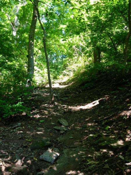 A winding dirt path through a lush green forest, surrounded by trees and dense foliage, with sunlight filtering through the leaves. The trail is rocky and uneven, leading upwards into the woods. Jordan Creek Parkway mountain bike trail.