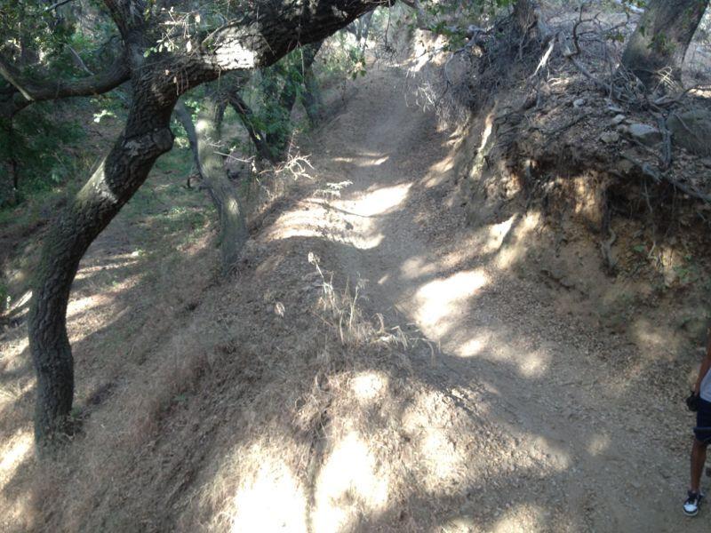A narrow dirt trail winding through a wooded area, surrounded by trees and dry vegetation. The path is partially shaded, with sunlight filtering through the leaves, creating patterns of light and shadow on the ground. Marshall Canyon Park mountain bike trail.