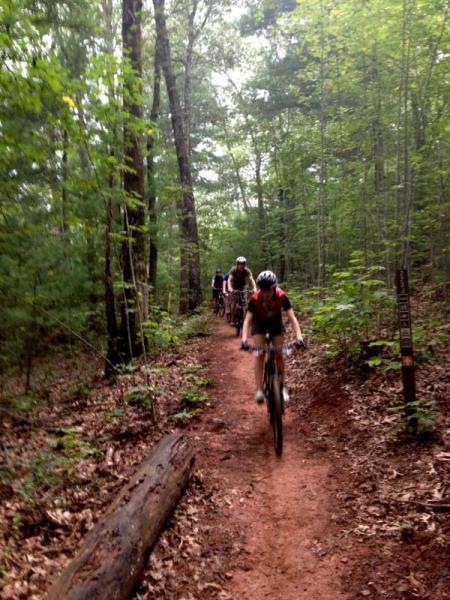 A group of mountain bikers navigating a dirt trail through a lush, green forest. The path is surrounded by tall trees and ferns, with a few logs and fallen leaves on the ground. The cyclists are wearing helmets and riding in single file, showing an active outdoor scene. Jake Mountain Trails mountain bike trail.