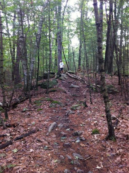 A person standing on a rocky trail in a forest, surrounded by tall trees and lush green foliage. The ground is covered with fallen leaves and scattered stones, indicating a natural, slightly uneven hiking path. Musquash Conservation Area mountain bike trail.
