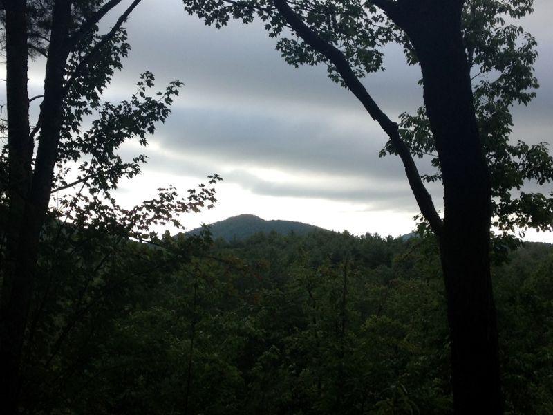 A serene landscape view featuring a mountain in the background, partially obscured by overcast skies. Foreground elements include tall trees framing the scene, with lush green foliage indicating a forested area. Duncan Ridge mountain bike trail.