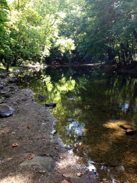 A serene riverbank view featuring a calm, reflective body of water surrounded by lush green trees. The sandy shore is lined with smooth stones, and sunlight filters through the leaves, creating dappled patterns on the water's surface. Jordan Creek Parkway mountain bike trail.