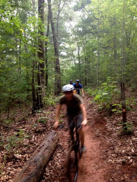A blurred image of a person riding a mountain bike on a dirt trail through a lush green forest, with two other cyclists visible in the background. The trail is surrounded by trees and vegetation, and there is a fallen log crossing the path. Jake Mountain Trails mountain bike trail.