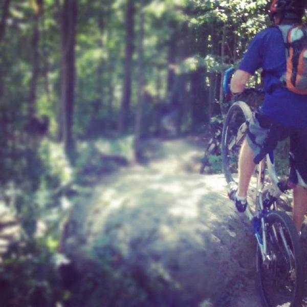 A cyclist navigating a rocky trail in a dense forest, carrying their bike on one shoulder while balancing on the edge of a dirt path. Sunlight filters through the trees, highlighting the rugged terrain and lush greenery surrounding them. Hydrocut mountain bike trail.