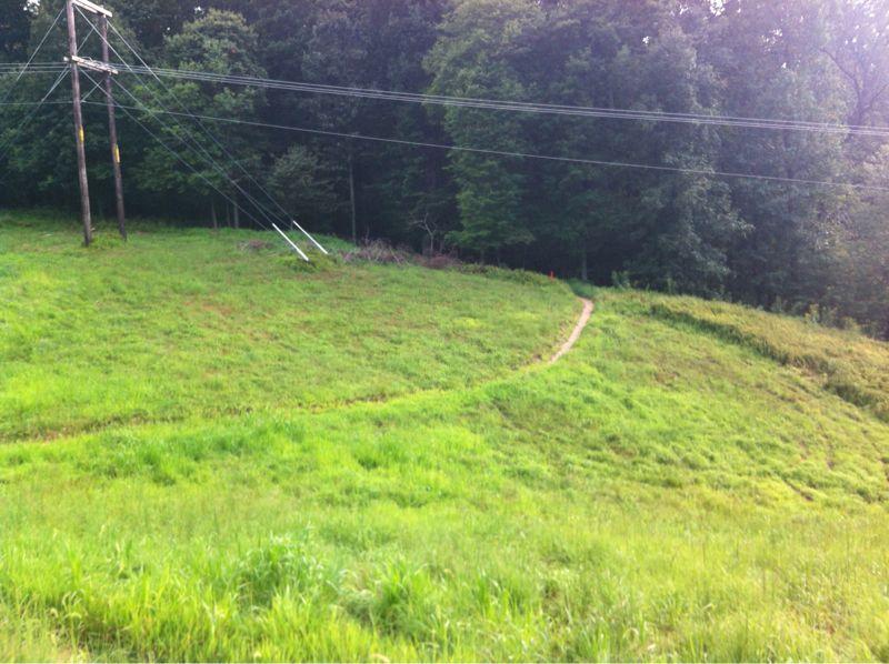A grassy hillside with a winding dirt path leading through it, surrounded by trees and power lines in the background. Seneca Creek State Park Trail mountain bike trail.