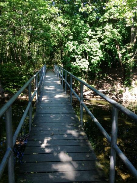 A wooden pedestrian bridge with metal railings, leading through a sunny, green forest. The bridge spans over a calm body of water, surrounded by lush trees and foliage. Sunlight filters through the leaves, creating a peaceful and inviting atmosphere. Jordan Creek Parkway mountain bike trail.