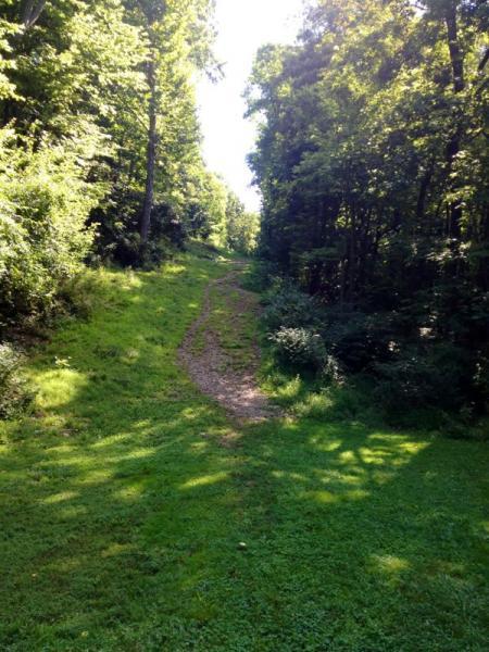 A sunlit path winding through a lush green landscape, flanked by tall trees and dense foliage on either side. The grassy trail is partially worn, leading into a shaded area of the forest. Jordan Creek Parkway mountain bike trail.