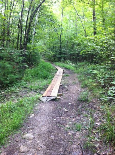 A narrow forest trail is shown, featuring a wooden plank pathway that leads through lush greenery. The path is surrounded by various trees and dense underbrush, creating a natural, serene atmosphere. Musquash Conservation Area mountain bike trail.