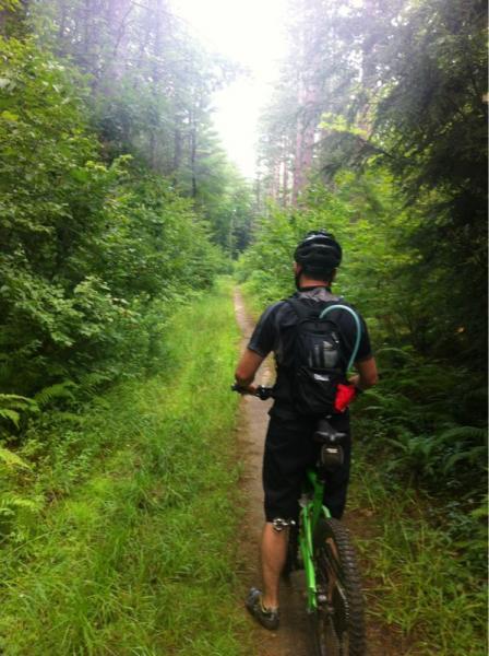 A person riding a mountain bike along a narrow, grassy trail surrounded by dense green foliage and trees. The cyclist is wearing a helmet and a backpack, facing away from the camera as they navigate through the forested path. Musquash Conservation Area mountain bike trail.
