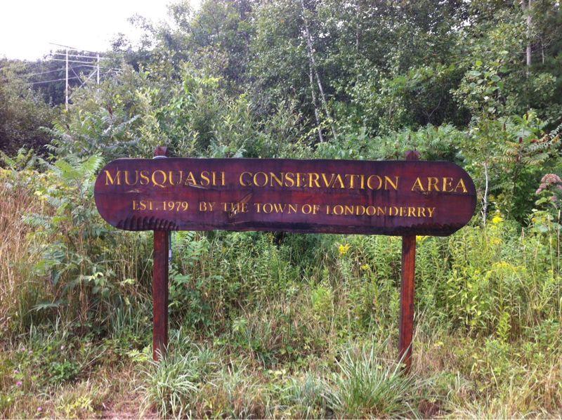 Sign for Musquash Conservation Area, established in 1979 by the Town of Londonderry, surrounded by lush greenery and wildflowers. Musquash Conservation Area mountain bike trail.
