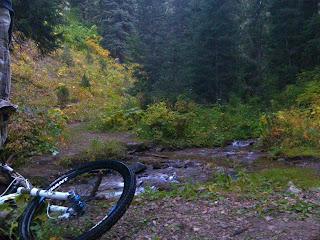 A mountain bike resting on a gravel path beside a small stream, surrounded by lush green foliage and trees, capturing a peaceful forest scene. Mosquito Creek (the Racecourse) mountain bike trail.