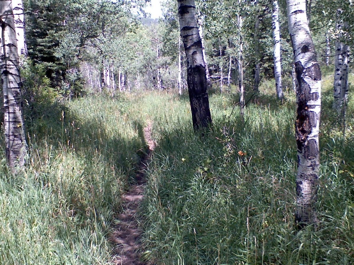 Three Forks Trail Mountain Bike Trail in Rifle, Colorado Directions