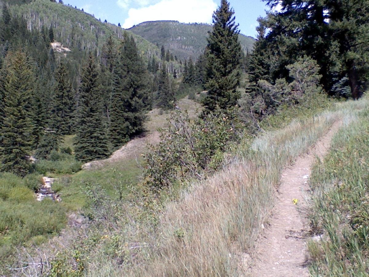A scenic view of a forested hiking trail winding through a mountainous landscape. Tall pine trees line the path, with lush green vegetation on either side. A small stream can be seen in the distance, and the sky is partly cloudy, creating a serene outdoor atmosphere. Three Forks Trail mountain bike trail.