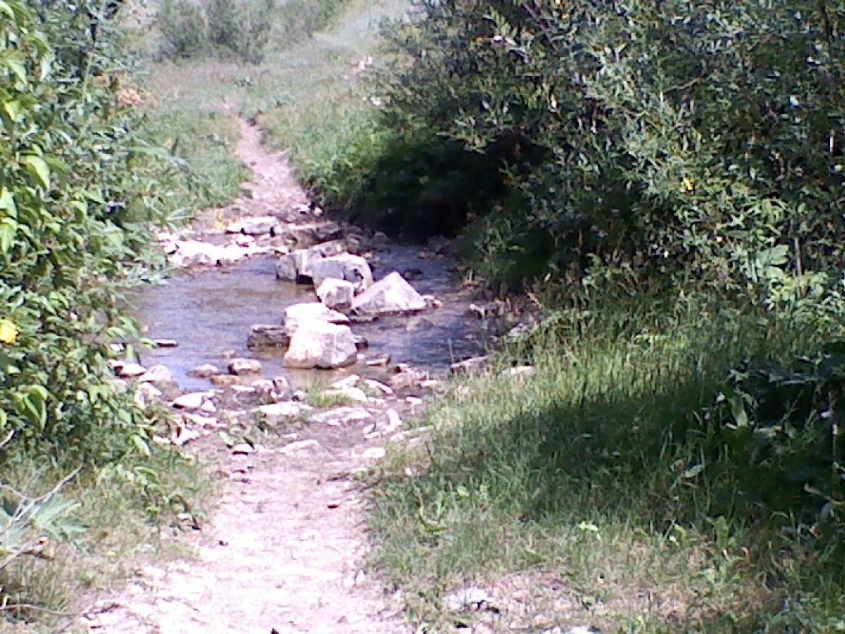 A narrow dirt path surrounded by greenery leads to a small stream with visible rocks, creating a peaceful, natural setting. Three Forks Trail mountain bike trail.