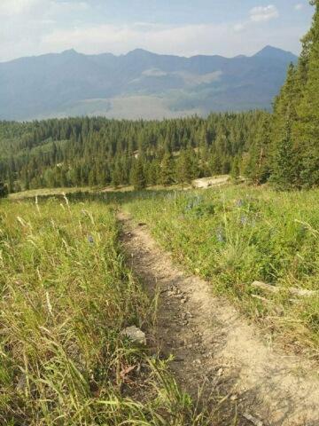 A dirt path winding through tall grass and wildflowers, leading down towards a lush green valley surrounded by mountains under a partly cloudy sky. Evolution Bike Park at Crested Butte Mountain Resort mountain bike trail.