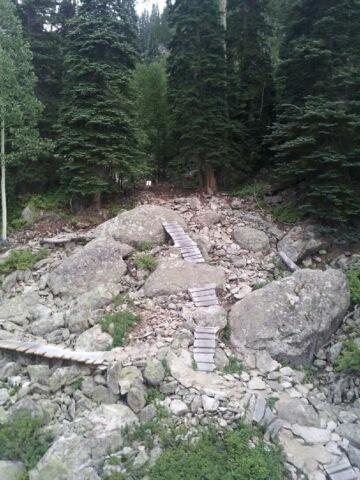 A rocky landscape with large boulders and a wooden footbridge leading through a forested area. Tall evergreen trees surround the scene, and patches of greenery are visible among the stones. Evolution Bike Park at Crested Butte Mountain Resort mountain bike trail.