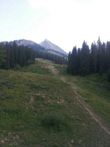 A dirt path leads through a lush green hillside, surrounded by tall evergreen trees, with a prominent mountain peak rising in the background under a clear sky. Evolution Bike Park at Crested Butte Mountain Resort mountain bike trail.