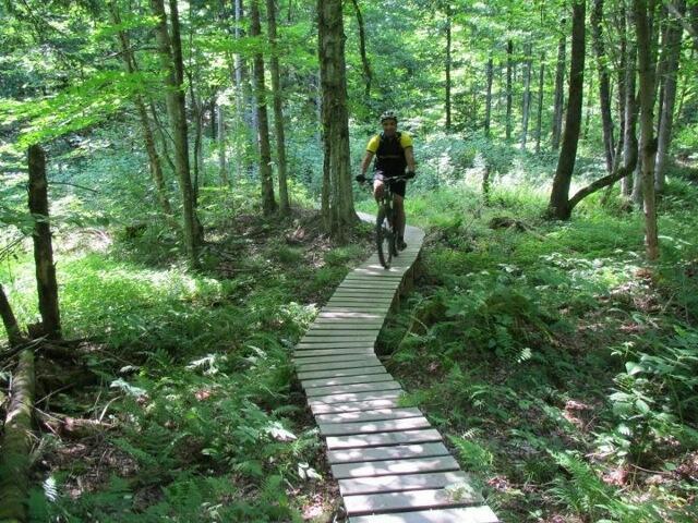 A person riding a mountain bike on a wooden boardwalk trail through a lush green forest. Tall trees and ferns surround the path, creating a natural, serene environment. Kingdom Trails mountain bike trail.