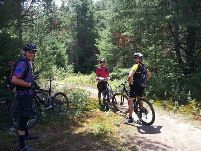 Three mountain bikers pause on a forest trail surrounded by greenery. Each cyclist is wearing a helmet and appropriate biking gear, and they are standing next to their bicycles. Sunlight filters through the trees, creating a bright and inviting atmosphere. The scene captures a moment of camaraderie in nature. Kingdom Trails mountain bike trail.